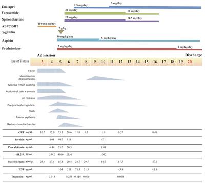 Case Report: Changes in Cytokine Kinetics During the Course of Disease in a Japanese Patient With Multisystem Inflammatory Syndrome in Children